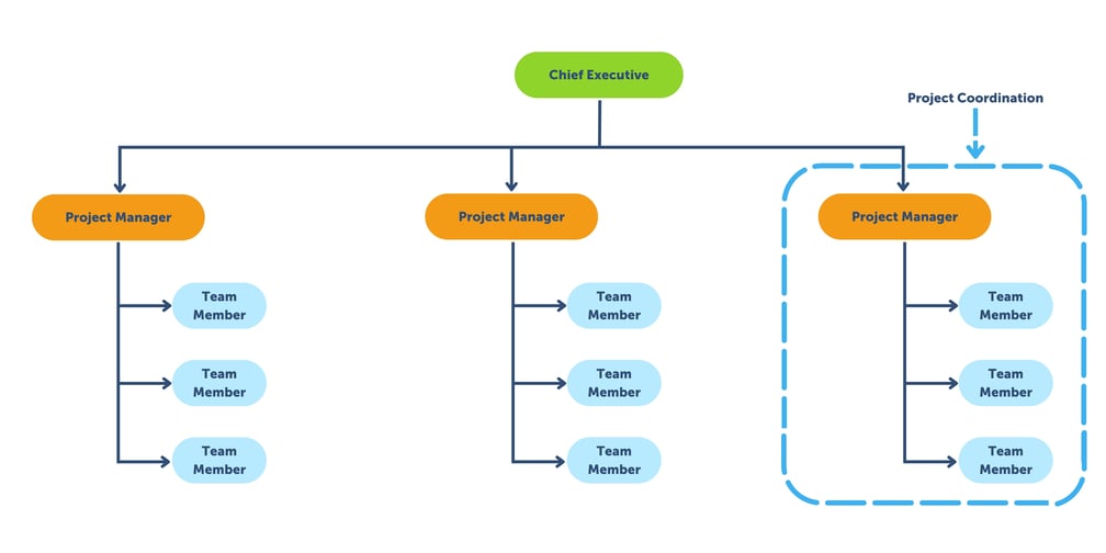 Project Organization Chart: The Complete Guide + Free Templates