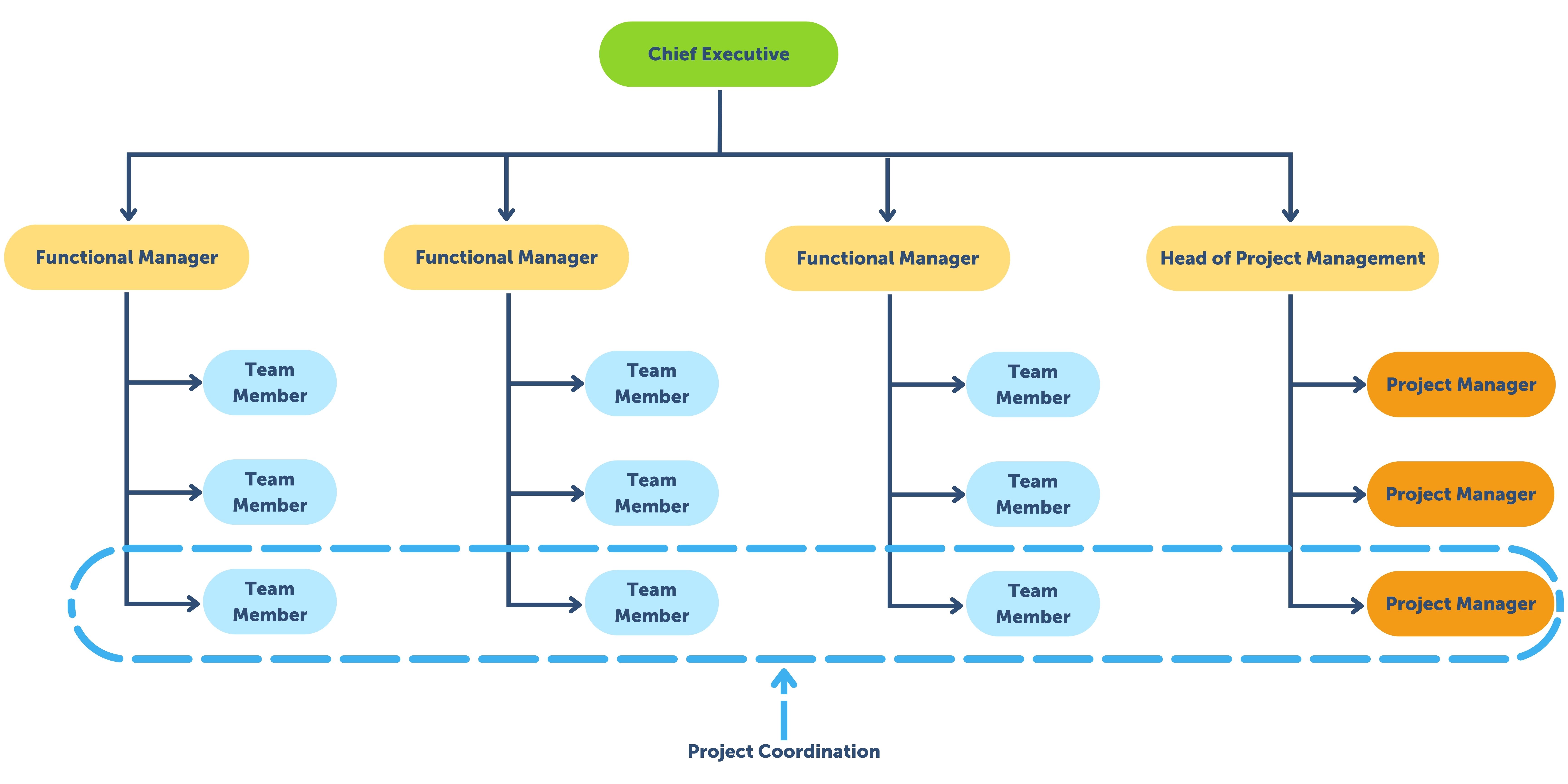 Project Organization Chart: The Complete Guide + Free Templates